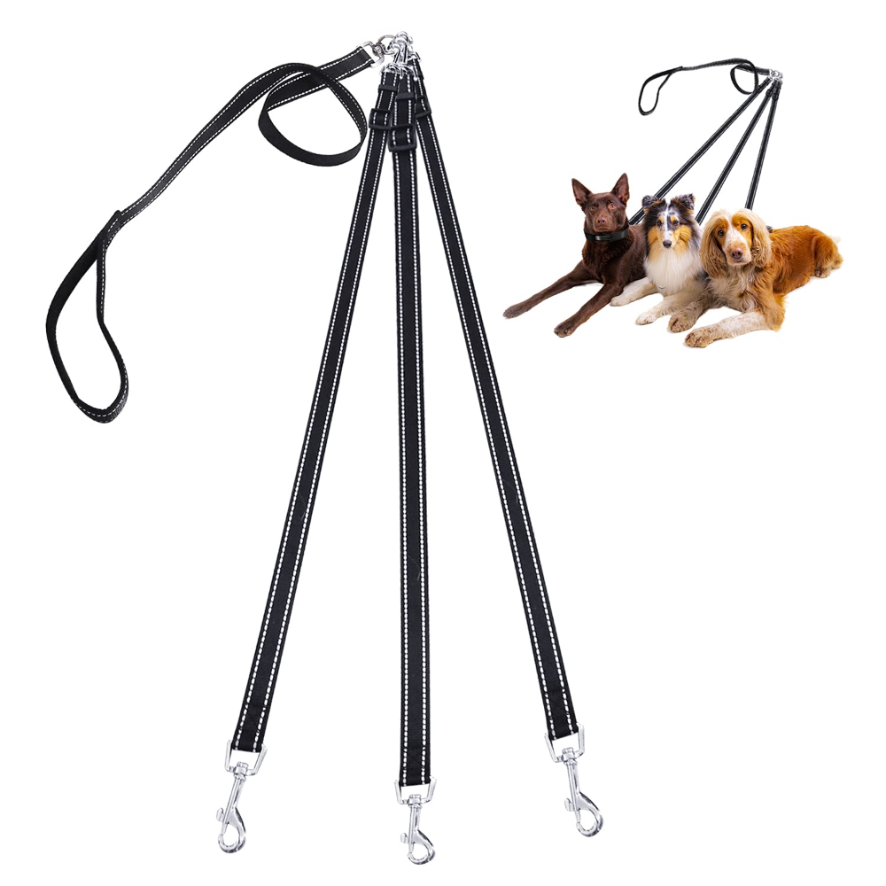 Laisse pour chien en nylon 3 e - Outdoor Camping Carpet avis et prix